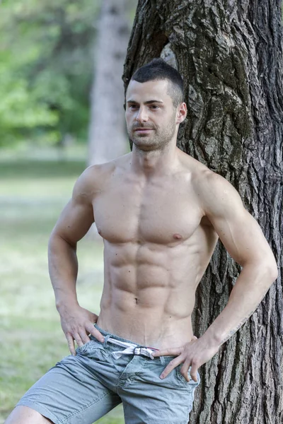 Knappe Aantrekkelijke Gespierde Jongeman Shirtless Rust Het Park Naast Boom — Stockfoto