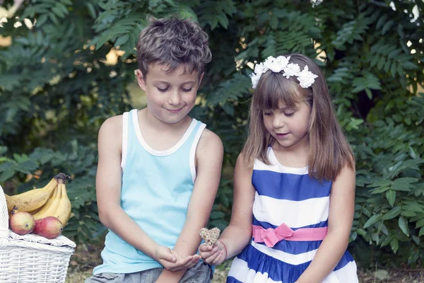 可爱的小男孩和女孩坐在草地上玩 小女孩给了男孩一块心形的饼干 浪漫或初恋的概念 在男孩和女孩附近有一个野餐篮 里面有果汁和很多水果 — 图库照片