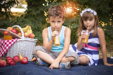 Mutlu sevimli küçük kız ve bir erkek üzerinde parkta bir battaniyeye oturmuş, suyu içme ve bir güzel güneşli yaz günü oynamak. İlk aşkım. Çocuğa bir piknik sepeti meyve suyu ve meyve sürü var.