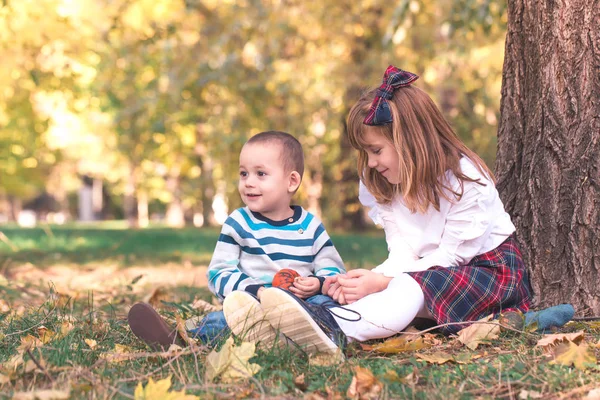 Bambino Bambina Stanno Giocando Fuori Godono Una Bella Giornata Autunnale — Foto Stock