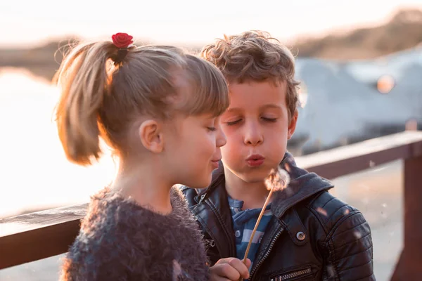 快乐的孩子 女孩和男孩吹蒲公英 复制空间 选择性对焦和小景深 — 图库照片