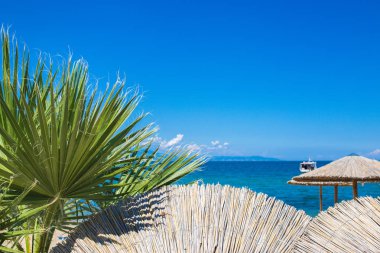 Yaz tatil kavramı. Güneş şemsiyeleri, palmiye ağaçları, yaprakları mavi gökyüzü ve denizin görüntüleyin. Metin için özgür yer. Beach Olimpiada Yunanistan