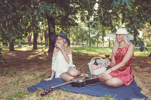 Dos Mujeres Guapas Haciendo Picnic Bebiendo Vino Riendo Divirtiéndose Amigos —  Fotos de Stock