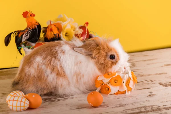 Oeufs Lapin Pâques Colorés Sur Fond Bois Carte Voeux Copier — Photo