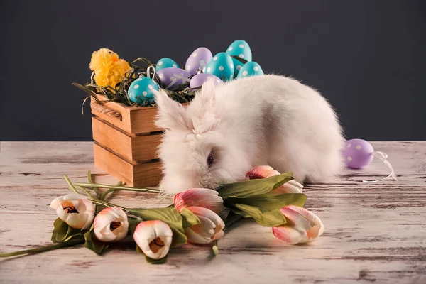 Coniglio, uova di Pasqua colorate e tulipani su uno sfondo di legno — Foto Stock