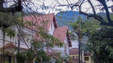 Güzel çiçekler ve mavi gökyüzü ile ev cephe görünümü