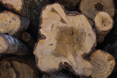 Hazırlanan ve toplu olarak saklanan günlükleri yığını. Kesme doku kırık ahşaptır. Yakın çekim.