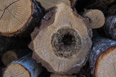 Hazırlanan ve toplu olarak saklanan günlükleri yığını. Kesme doku kırık ahşaptır. Yakın çekim.