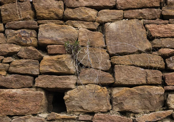 Τοίχος Είναι Φτιαγμένος Από Παλιές Αρχαίες Πέτρες Φυτά Που Μεγαλώνουν — Φωτογραφία Αρχείου