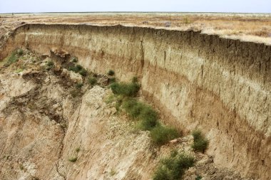 Dünya yüzeyinde tortul kaya katmanları oluştu. Azak denizinin güney kıyısında outcrops. Taman Yarımadası, Temryuk bölgesi, Krasnodar region, Rusya Federasyonu
