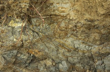 Dünya yüzeyinde tortul kaya katmanları oluştu. Azak denizinin güney kıyısında outcrops. Taman Yarımadası, Temryuk bölgesi, Krasnodar region, Rusya Federasyonu