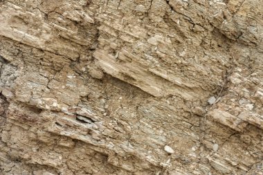 Dünya yüzeyinde tortul kaya katmanları oluştu. Azak denizinin güney kıyısında outcrops. Taman Yarımadası, Temryuk bölgesi, Krasnodar region, Rusya Federasyonu