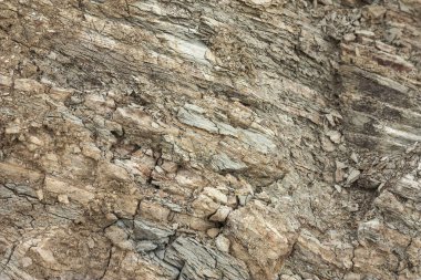 Dünya yüzeyinde tortul kaya katmanları oluştu. Azak denizinin güney kıyısında outcrops. Taman Yarımadası, Temryuk bölgesi, Krasnodar region, Rusya Federasyonu