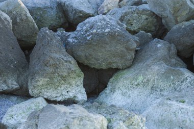 Deniz kıyısında deniz suyunun alçaldığı yerde kocaman güzel kayalar uzanır. Taşlar yosun, yumuşakça kabukları ile kaplıdır ve suyun ve rüzgarın etkisinden dolayı aşınmaya maruz kalırlar..
