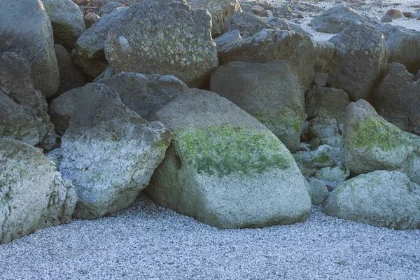 巨大な美しい岩が海の水の干潮時に海岸にあります 石は藻や軟殻で覆われ 水や風の影響で浸食される — ストック写真