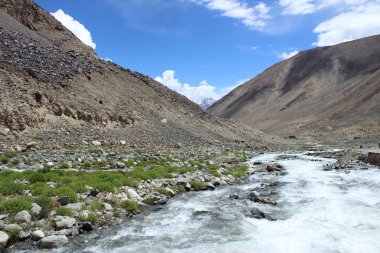 Dağdan fışkıran akışı. Ladakh, Hindistan