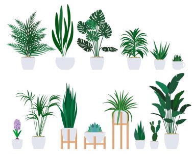 Set of decorative houseplants to decorate the interior of a house or apartment. clipart
