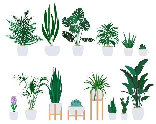 Σύνολο διακοσμητικών φυτών για να διακοσμήσετε το εσωτερικό ενός σπιτιού ή διαμερίσματος. — Διανυσματικό Αρχείο