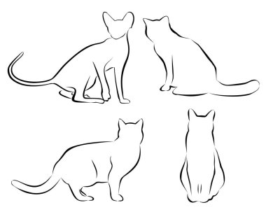 Kedi devreleri kümesi. İzole. Basit vektör çizim
