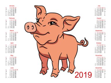 Takvim 2019. Yıl sembolü. Çizgi film domuz. Vektör çizim