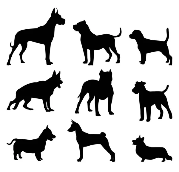 不同品种的一组狗 黑色的轮廓 矢量说明 — 图库矢量图片#