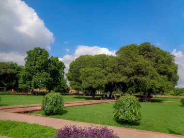 Bahçedeki ağaçlar, mavi gökyüzü ve yeşillik