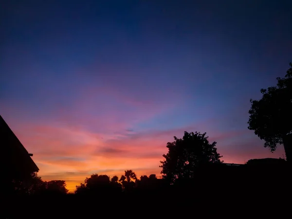 Siluet Pohon Dan Langit Mendung Penuh Warna Saat Matahari Terbit — Stok Foto