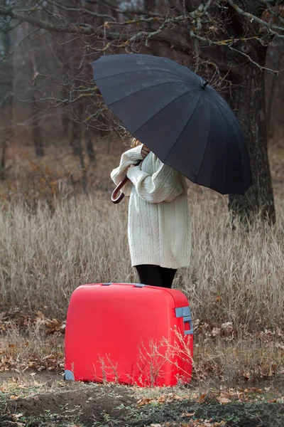 Una Donna Con Valigia Unbrella Nel Paesaggio Autunnale — Foto Stock