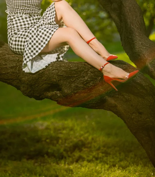 美丽的女人腿在日落的阳光下坐在树上穿着红色高跟鞋 — 图库照片