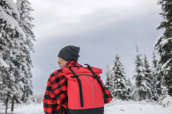 穿着温暖夹克的旅随上背包的游客看着冬天 — 图库照片