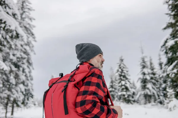 Pelancong Dengan Ransel Dalam Jaket Hangat Melihat Musim Dingin — Stok Foto