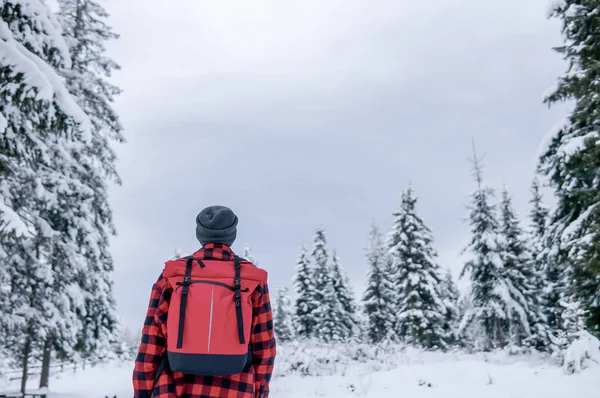 Reiziger Met Een Rugzak Een Warme Jas Kijkt Naar Winter — Stockfoto