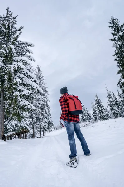 Viaggiatore Con Uno Zaino Una Giacca Calda Guarda Inverno — Foto Stock