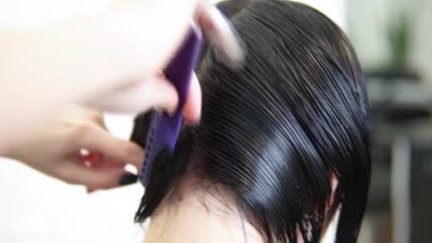 ヘアスタイリストで髪をカットするプロセス 偉大な髪型を作る美容師 — ストック動画