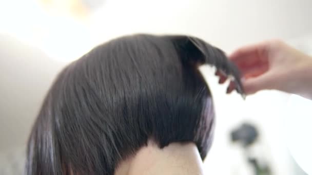 Processo Corte Cabelo Por Cabeleireiro Cabeleireiro Fazer Grande Penteado — Vídeo de Stock