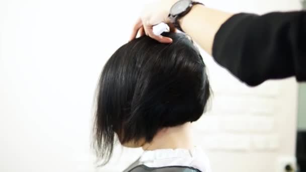 Proceso Corte Cabello Por Estilista Peluquería Hacer Gran Peinado — Vídeos de Stock