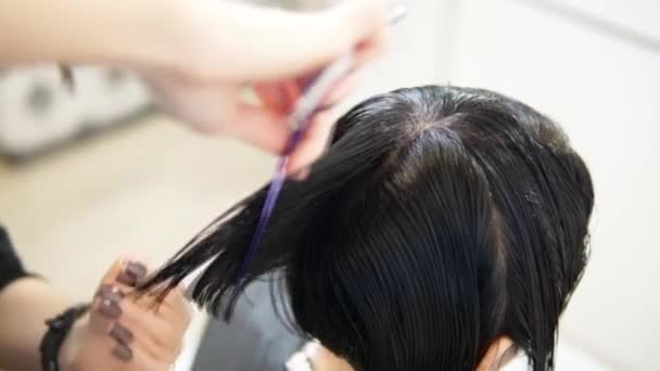 Processo Corte Cabelo Por Cabeleireiro Cabeleireiro Fazer Grande Penteado — Vídeo de Stock