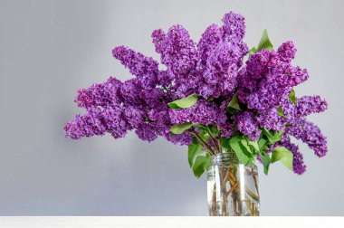 Büyük bir cam kavanoza masaya bahçeden leylak buket