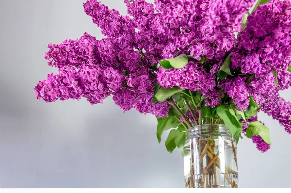 在一个玻璃瓶里的桌子上 花园里的紫丁香一大束 — 图库照片