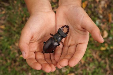 Direksiyon kapağında, otomatik özel araba iç yükseltme, DIY örgü