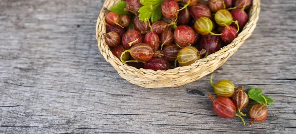 Ripe Gooseberry Fruit Rural Basket Rustic Background — Stock Photo, Image