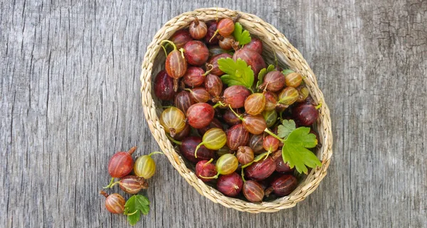 Ripe Gooseberry Fruit Rural Basket Rustic Background — Stock Photo, Image