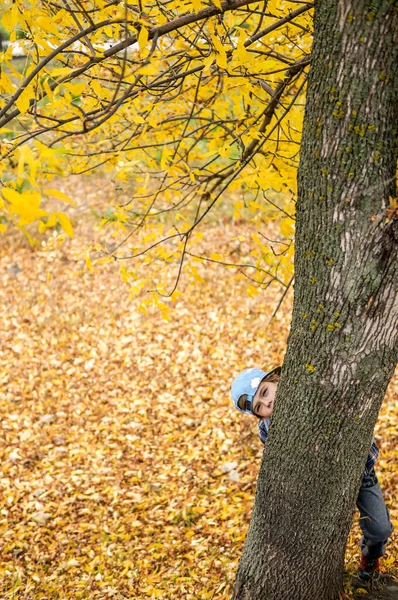 Chlapec Hraje Podzimní Scenérii Schovává Stromem — Stock fotografie