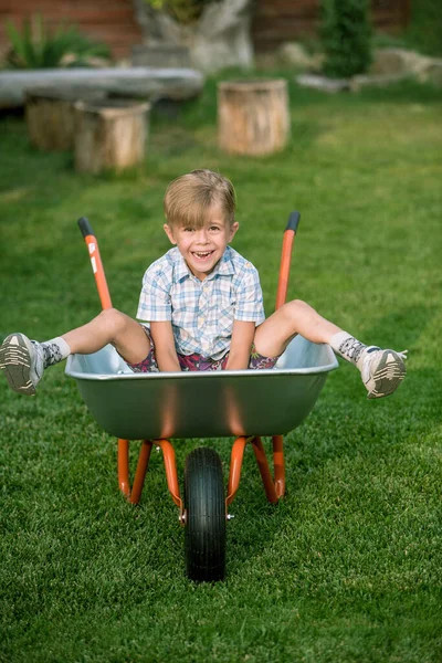 Happy Little Boy Having Fun Wheelbarrow Domestic Garden Warm Sunny — Stock Photo, Image