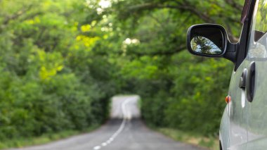 Ormanda güzel bir yol ve bir araba detayı.