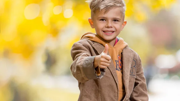 黄色の背景の上に秋の衣装でかわいい男の子 — ストック写真