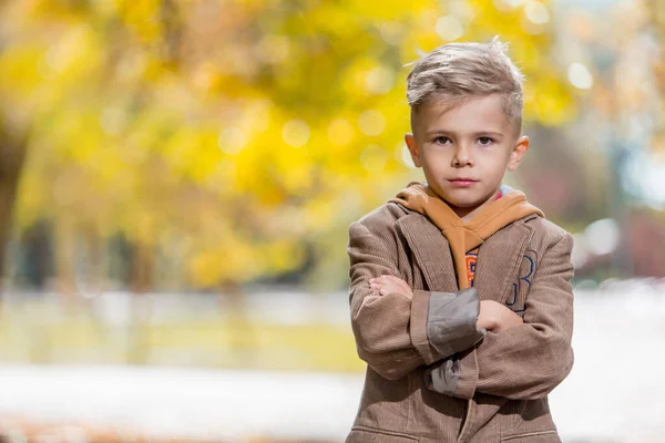 黄色の背景の上に秋の衣装でかわいい男の子 — ストック写真