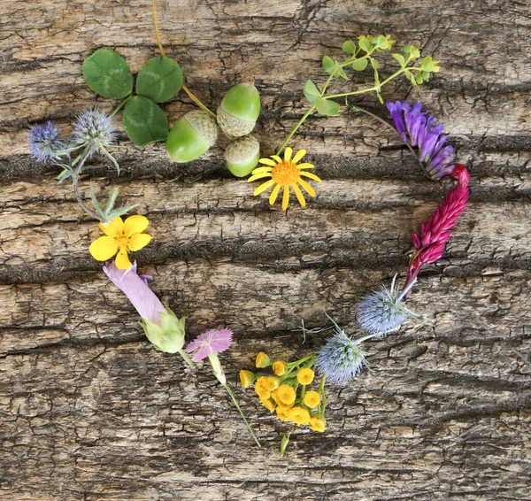 Härlig Alla Hjärtans Dag Med Vackra Blommor Bakgrund — Stockfoto