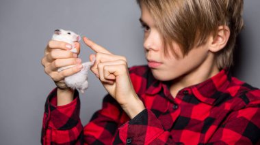 Çocuk elinde gri arka planda küçük bir hamster tutuyor.