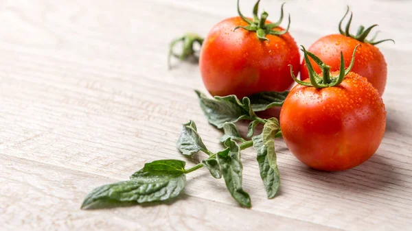 Tomaten Auf Weißer Küche Und Tomatensaft Mit Grünen Tomatenblättern Selbst — Stockfoto